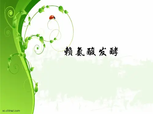 赖氨酸发酵工艺学
