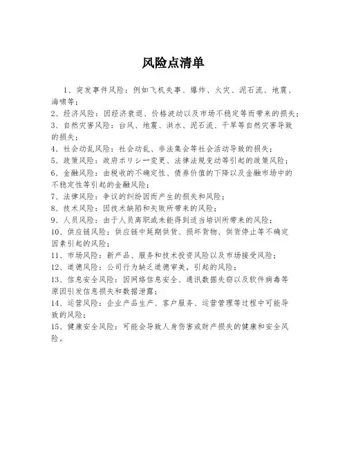 风险点清单