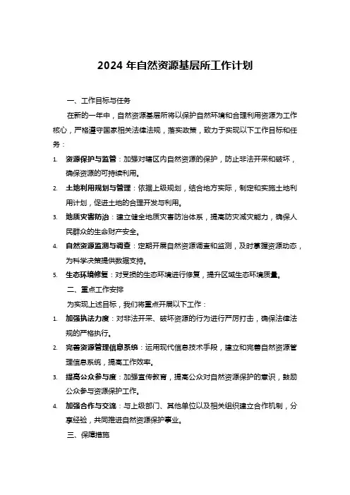 2024年自然资源基层所工作计划