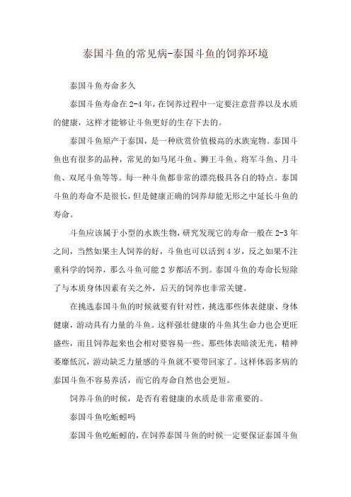 泰国斗鱼的常见病-泰国斗鱼的饲养环境