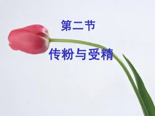 传粉和受精