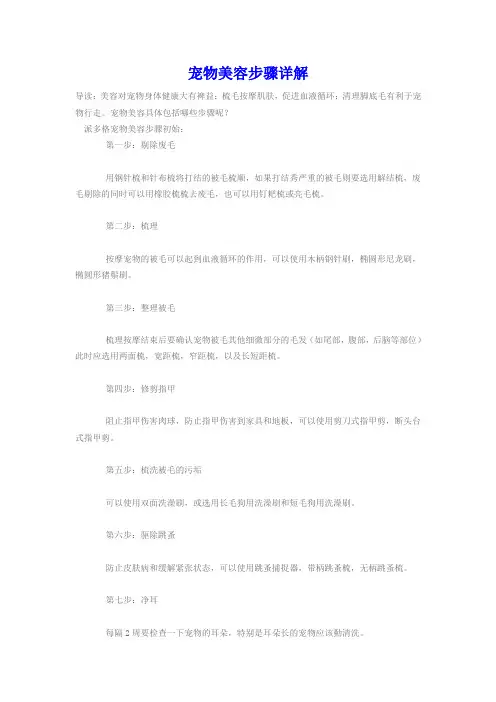 (完整版)宠物美容步骤详解