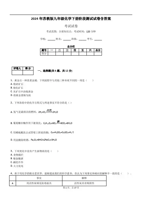 2024年苏教版九年级化学下册阶段测试试卷含答案