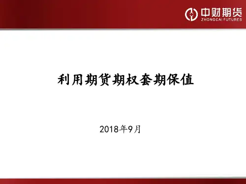 利用期货期权套期保值  ppt课件