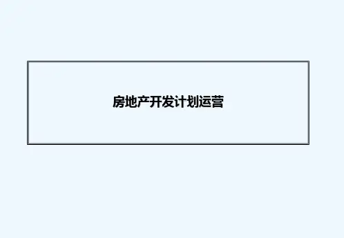 房地产开发计划运营模板 PPT