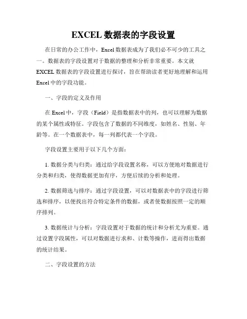 EXCEL数据表的字段设置