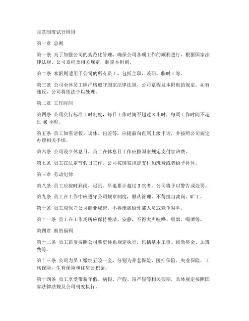 规章制度试行附则