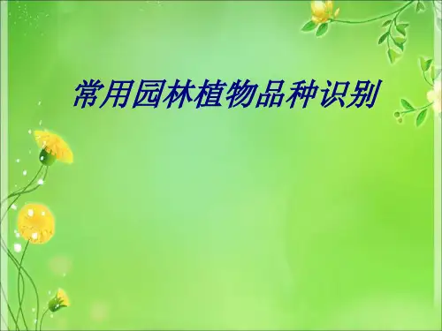 常用园林植物品种识别专题培训课件
