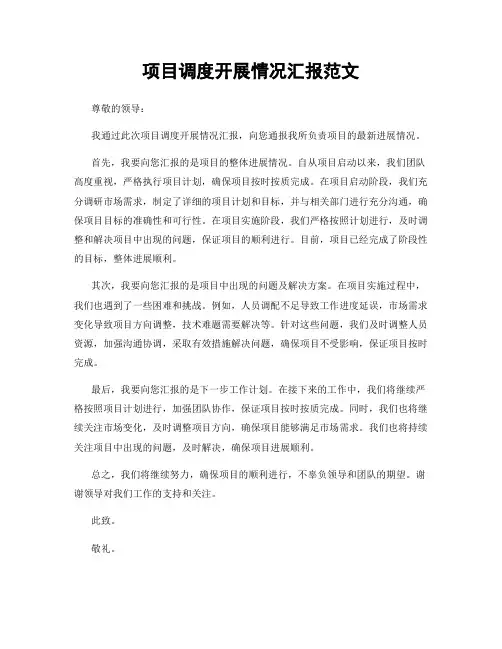项目调度开展情况汇报范文