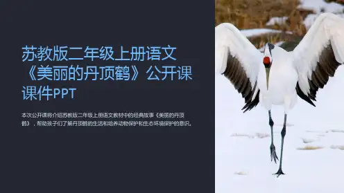 苏教版二年级上册语文《美丽的丹顶鹤》公开课课件