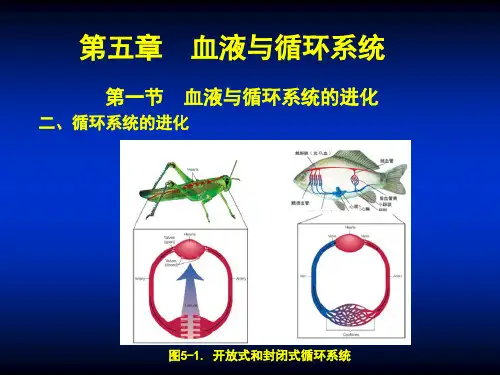 复旦大学生理学课件05血液与循环系统-1血液(一)