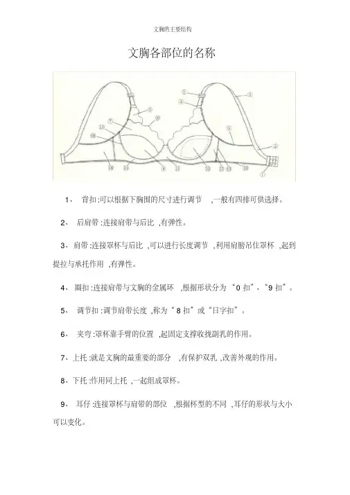 文胸的主要结构