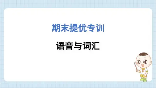 2024年译林版六年级上册英语期末专题复习——语音与词汇