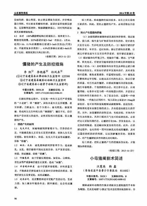 小母猪阉割术简述