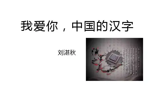 教学课件：我爱你中国汉字(完美版)