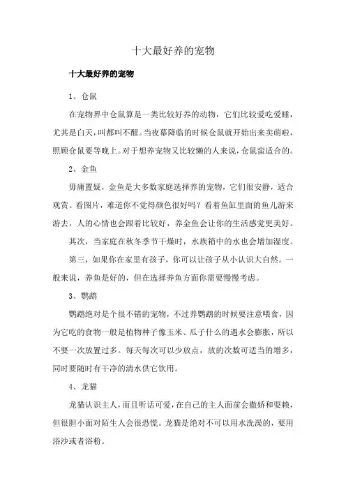 十大最好养的宠物