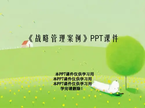 《战略管理案例》PPT课件