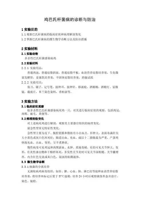 鸡巴氏杆菌病的诊断和治疗