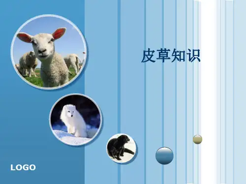 皮草水貂知识