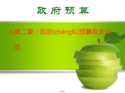 政府收支分类
