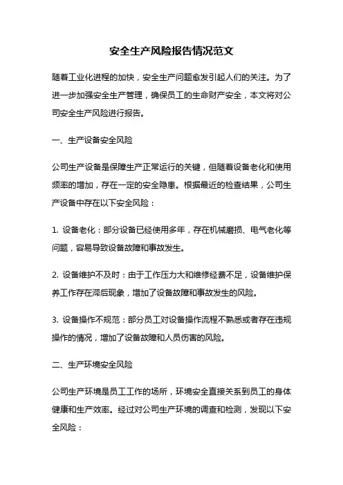 安全生产风险报告情况范文