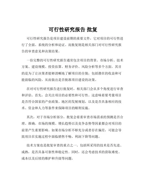 可行性研究报告 批复