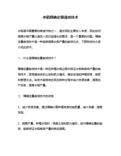 水稻精确定量栽培技术