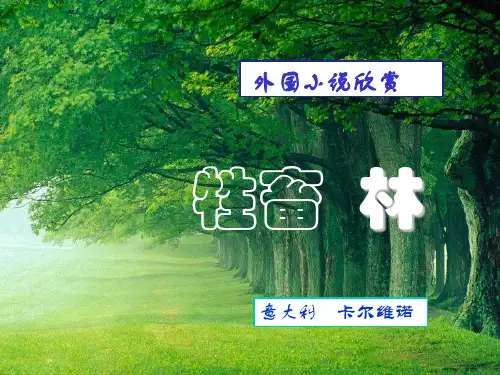 牲畜林优秀课件ppt