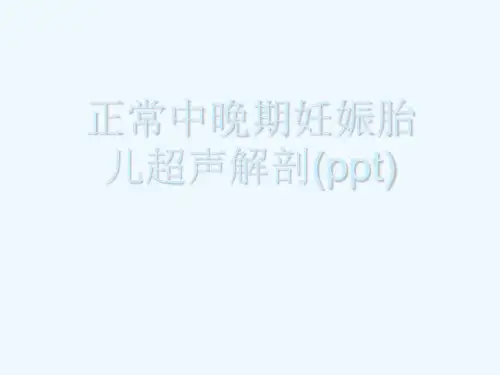 正常中晚期妊娠胎儿超声解剖(ppt)