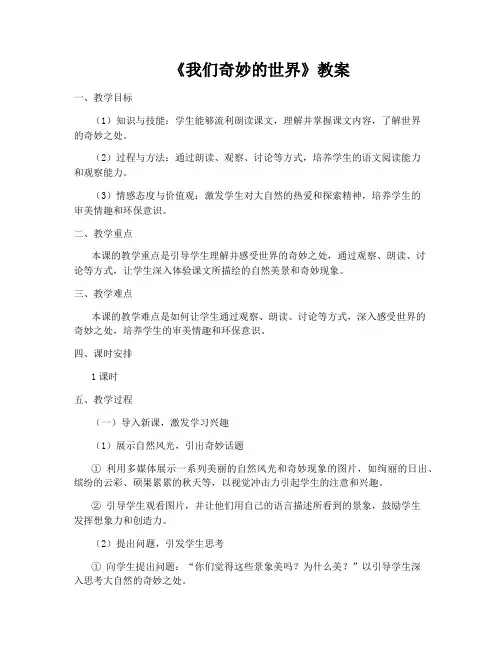 《我们奇妙的世界》教案