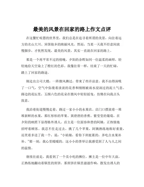 最美的风景在回家的路上作文点评