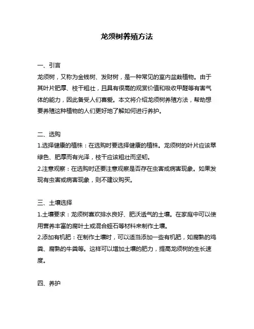 龙须树养殖方法