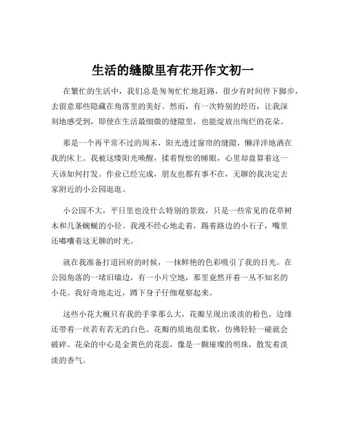 生活的缝隙里有花开作文初一