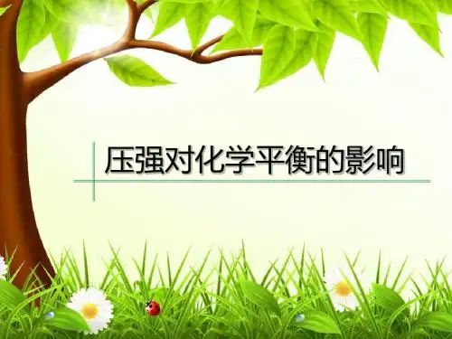 压强对化学平衡的影响jiang