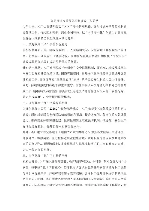 公司推进双重预防机制建设工作总结