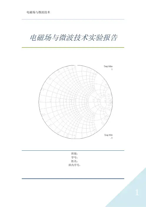 电磁场与微波技术实验报告.