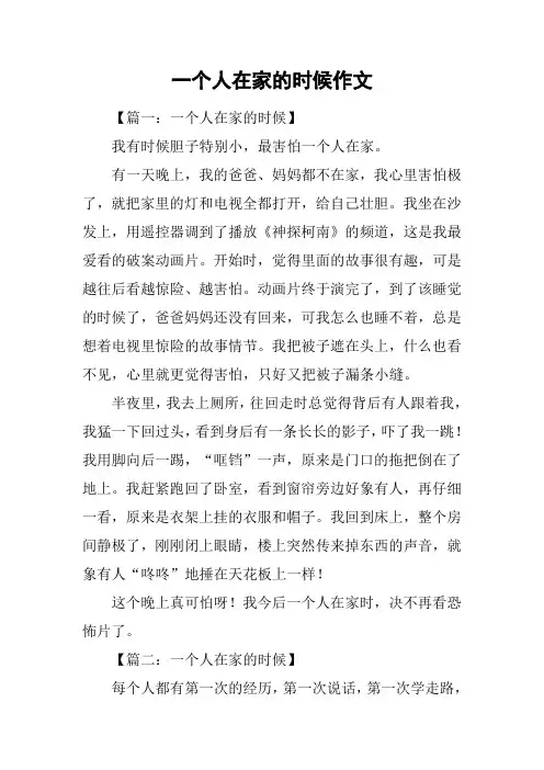 一个人在家的时候作文
