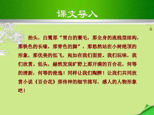 九年级语文上册第四单元第14课小说家谈小说教学课件苏教版