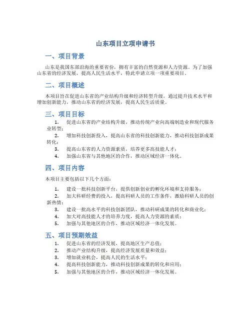 山东项目立项申请书