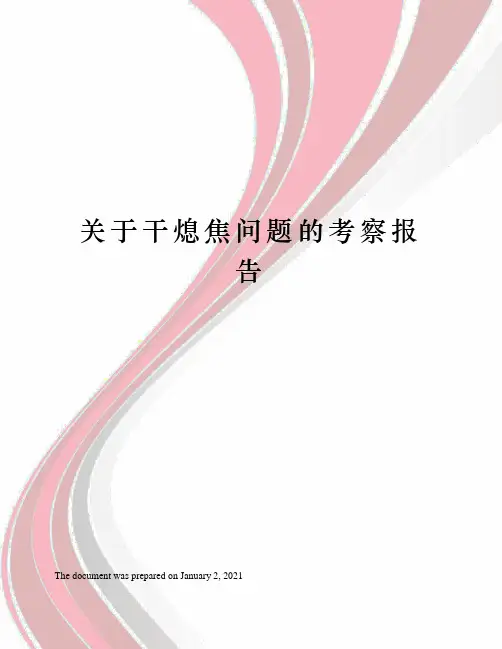 关于干熄焦问题的考察报告