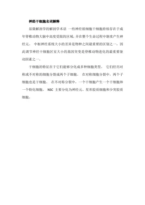神经干细胞名词解释
