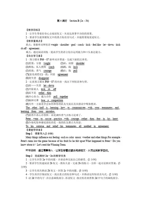 小学英语九年级下册人教版教案   Unit 11 第4课时 Section B (2a-3b)