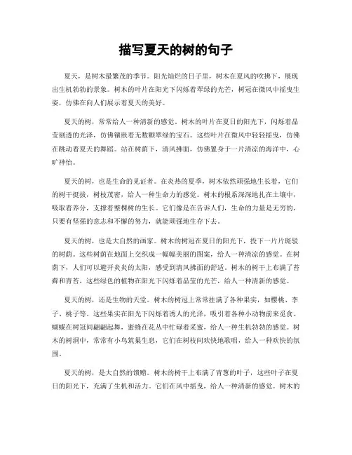 描写夏天的树的句子