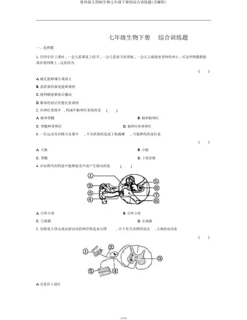 鲁科版五四制生物七年级下册的综合训练题(含解析)