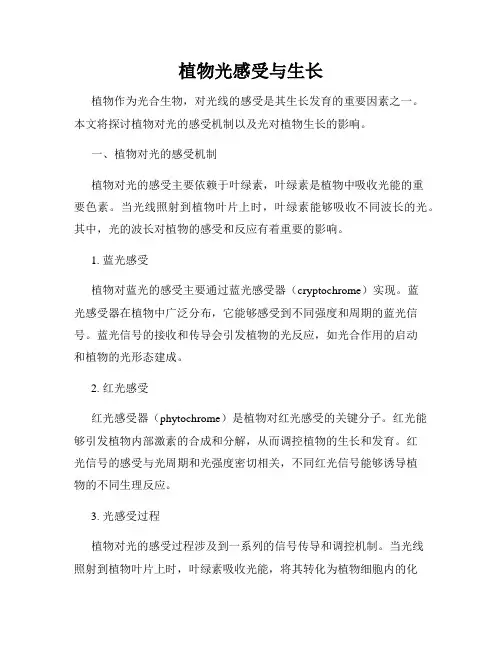 植物光感受与生长