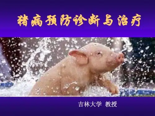 圆环猪病防治讲座