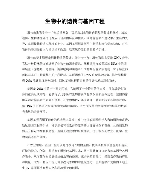 生物中的遗传与基因工程