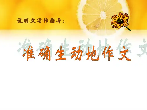 说明文作文指导PPT课件