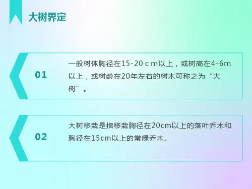 大树移栽施工方案