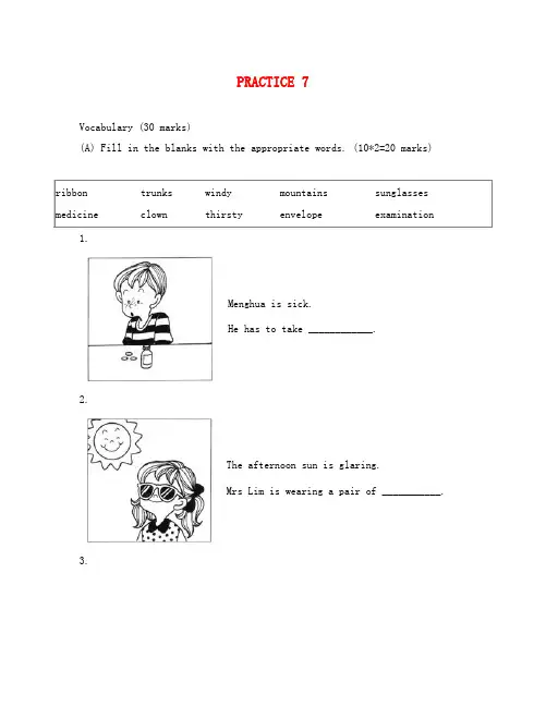 新加坡小学一年级英语试PRACTICE 7(通用)